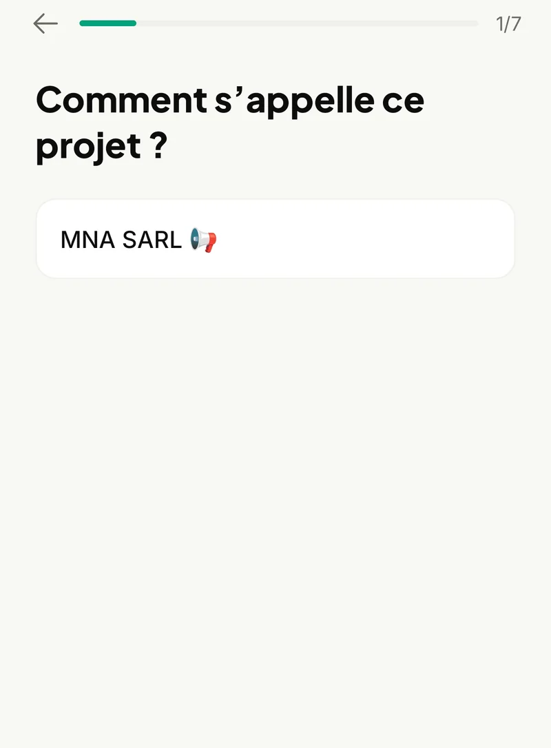 Étape 1 sur 7 : Comment s’appelle ce projet ? Réponse : MNA SARL