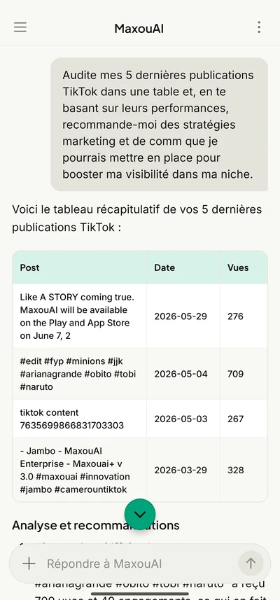 Une conversation Maxouai : audit des dernières publications TikTok, puis recommandations