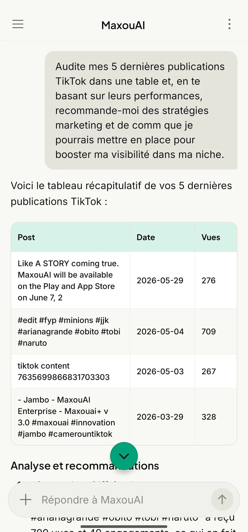 Audit TikTok réel dans le chat Maxouai